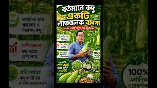 👉লাভজনক কৃষি ব্যবসা | কীটনাশক প্রয়োগ ও জমি উর্বর করার সঠিক উপায় | Pumpkin Farming Bangladesh.🔥