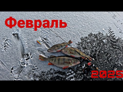 ПЕРВЫЙ ЛЁД В