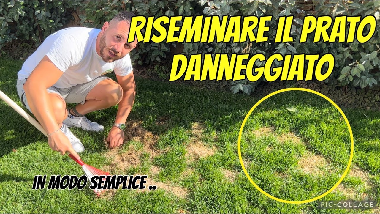 Arieggiatore Manuale Per Prato | Rullo Con Chiodi Senza Elettricità O Benzina - Larghezza 42 Cm, 27 Chiodi Da 3,5 Cm