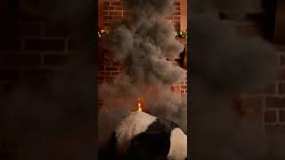 Panda Gets Stuck in the Chimney Fire Alarm Christmas Chaos | Nebula Shots