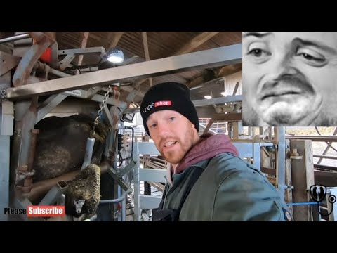 Forsen reacts to HUGE PUS ABSCESS in COWS HOOF | The Hoof GP