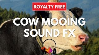 Cow Mooing Sound Effect