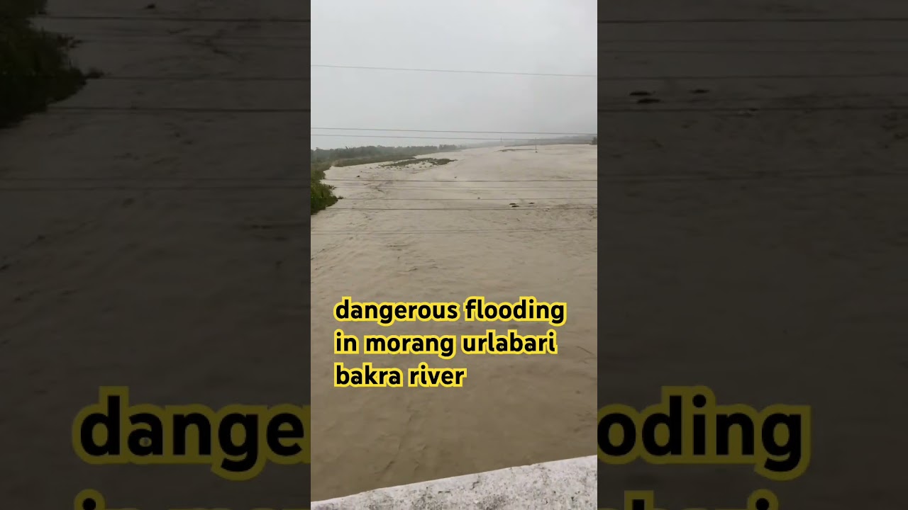 dangerous  flooding in morang urlabari river