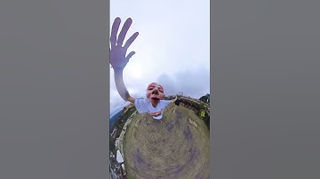 Khi những chú "Chim Cánh Cụt" đú trend #shorts #ngodinhnam #thaybeou40 #phamthoai