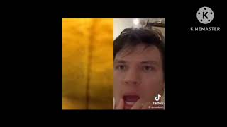 Donaldducc Only Screaming & Demon Scream Part 2 Loud Volume