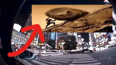 for nontrained ears only / frequenwave BREAKDOWN