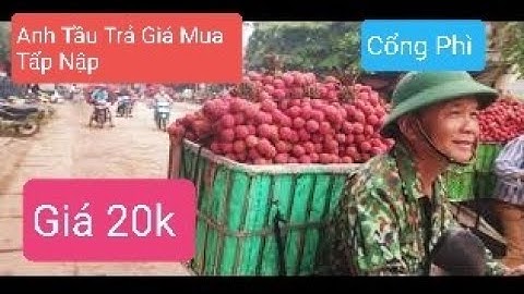 Giá Vải Rất Ok Khi Anh Tàu Trực Tiếp Mua Vải Thiều Lục Ngạn l Núi Đồi Lục Ngạn