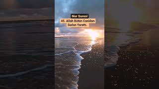 Rabbini Tanımak İster Misin 1. Bölüm Yayındaa