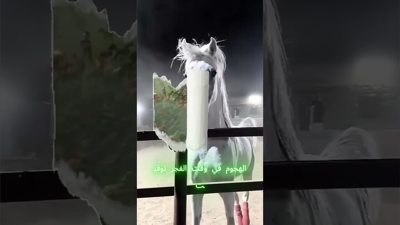 The Amazing Scientific Miracle in Surat Al-Adiyat | Quranic Secrets Revealed by Modern Science