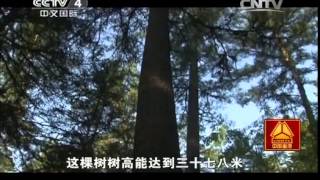 20141014 走遍中国 小兴安岭寻珍觅宝