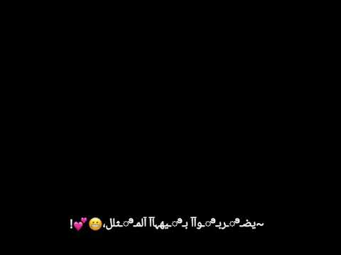 فايقة ورايقة ومش مضايقة شاشة سوداء بدون حقوق