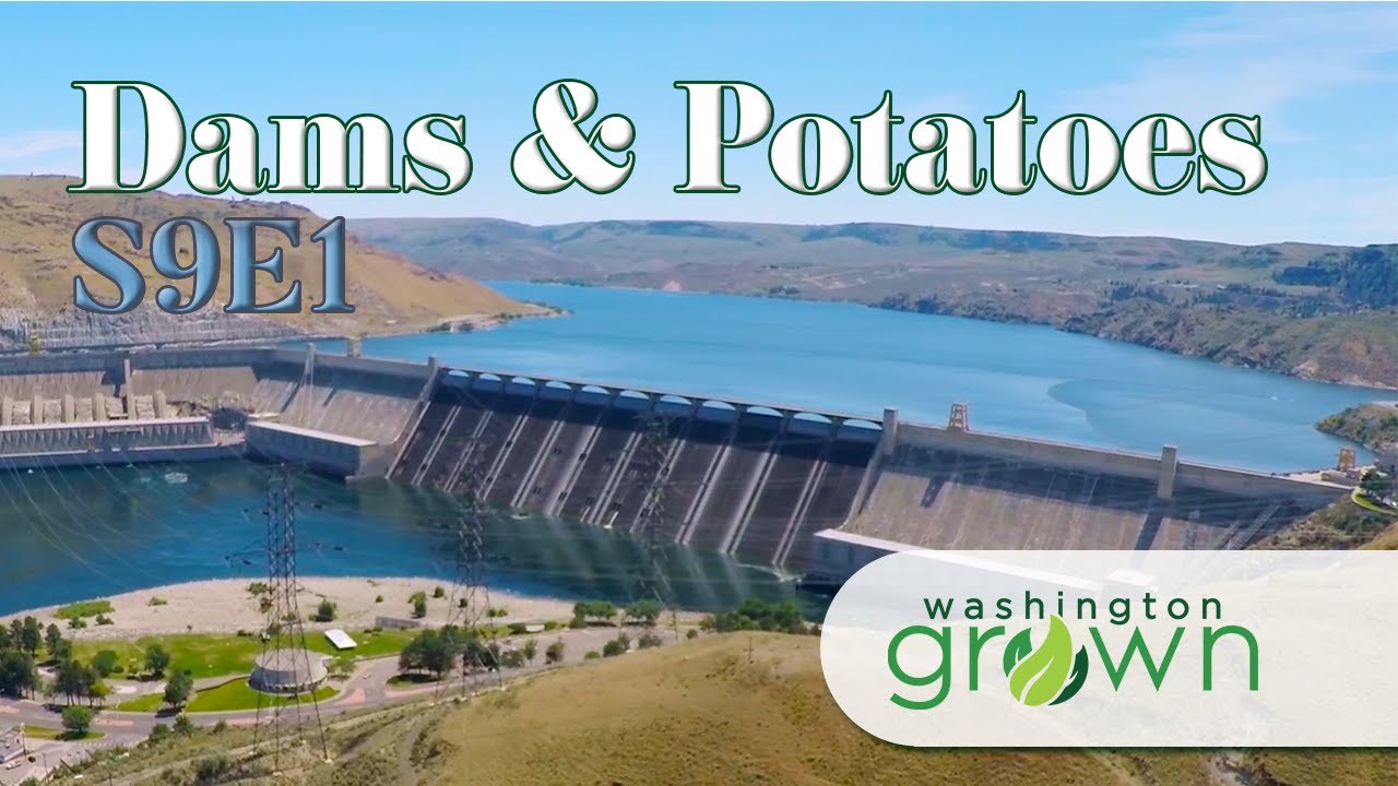 Dams & Potatoes | Washington Grown | S9E1