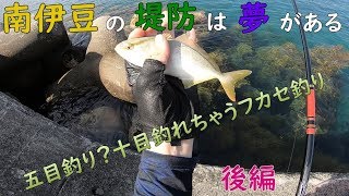 南伊豆の堤防でフカセ釣り 後編 MANCING PELABUHAN IZU SHIZUOKA