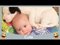 Funnest Baby Playing With Animals