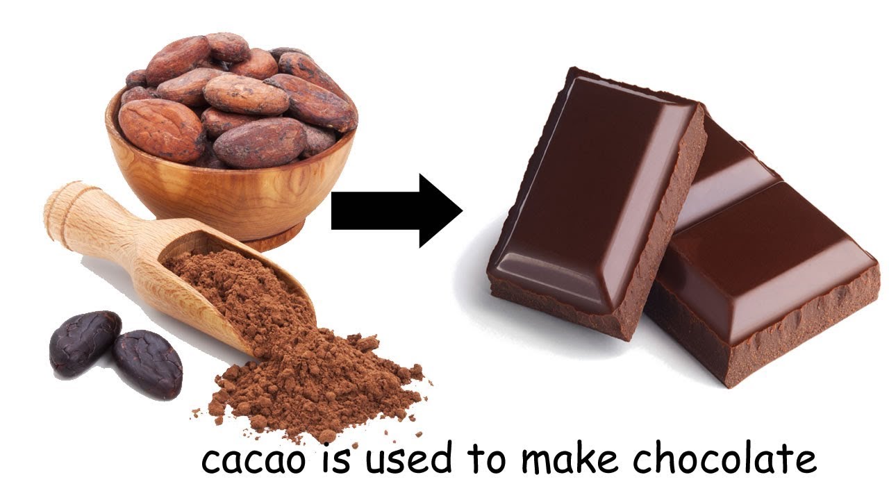 Hacer chocolate con cacao puro