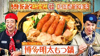 【明太×もつ＝最強】福岡県宗像市の明太もつ鍋【ふるさと研究所】