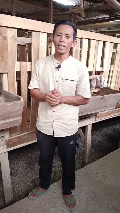 It turns out this is how to get goats in heat again