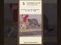 Do nada, surge outro gato na calçada #shorts #viral #cat #gatos