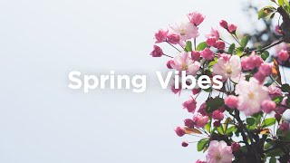 Spring Vibes Mix ☀️ Soft House Melodies to Relax 🌸 screenshot 5