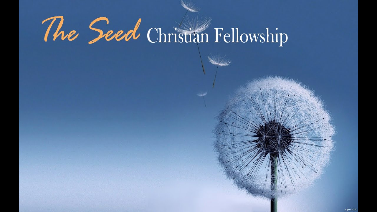 The Seed Sermon Only The Last Words 8 3 25