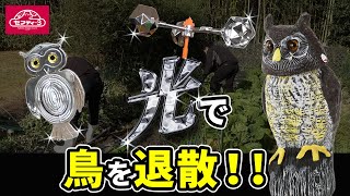 ギラギラで鳥よけ |