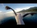 Gopro pelican learns to fly