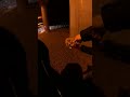 Cop Saves Dog On Street❤️