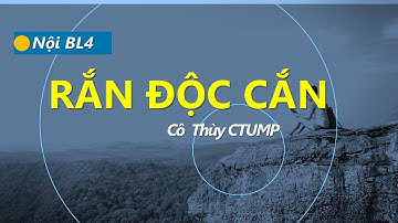 [NỘI BL4] RẮN ĐỘC CẮN - Ths. THÙY CTUMP. Nguồn GÓC HT YEF41