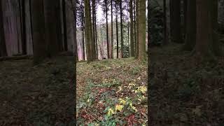 Sani-Training vom 27. November 2021