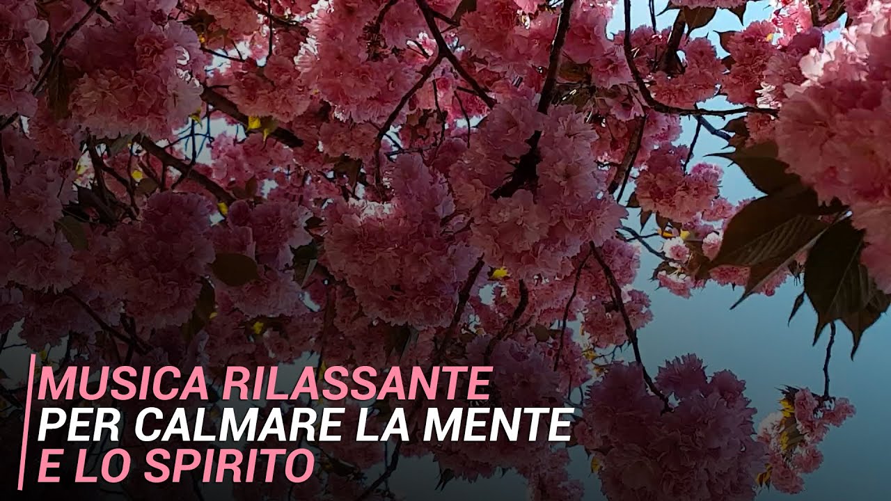 Musica Rilassante per Calmare la Mente e lo spirito - YouTube
