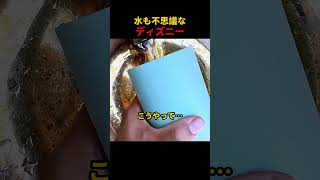 水も不思議なディズニー