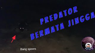 Cara Mendeteksi Keberadaan Buaya Predator Dengan Mudah