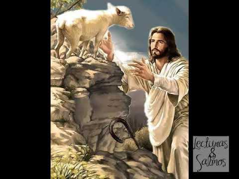 Evangelio Lucas 15 1 10 Youtube
