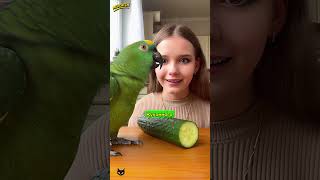 АЛЁ, ГОША ТРЕБУЕТ ШЛЕМ ДЛЯ ОГУРЦА! 😱🥒 АЛЁ, ГОША ТРЕБУЕТ ШЛЕМ ДЛЯ ОГУРЦА! 😱🥒