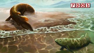 These Fish Walked On Land 10 Million Years Too Early