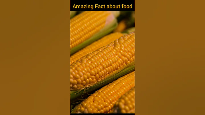 Top 5 Amazing Facts About Food 😱 | Fact | Fact in Hindi #shorts
