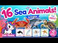 【こども英会話】海の生き物の名前を英語で言ってみよう! | Sea Animals in English for Kids
