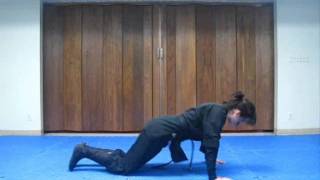 (FRONT FALL) Free Martial Arts homestudy