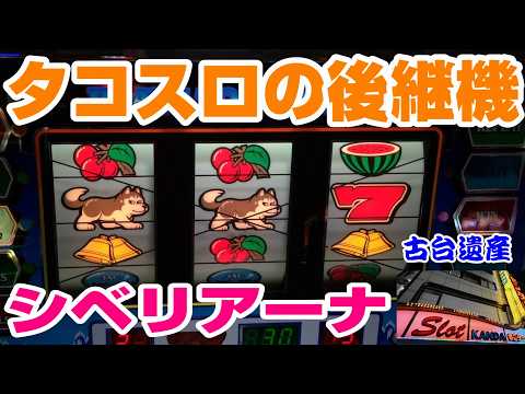 【古台遺産】【シベリアーナ】【神田センター】