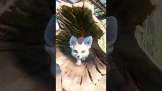 Cutest Fennec Fox EVER?! 😍🦊 | Planet Zoo Cutest Fennec Fox EVER?! 😍🦊 | Planet Zoo