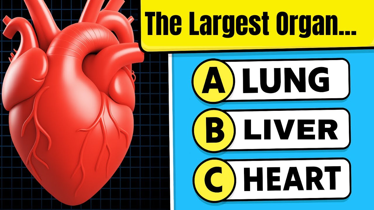 💪 Can You Beat This Human Body GK Quiz? 🧍 Test Your Knowledge Now ...