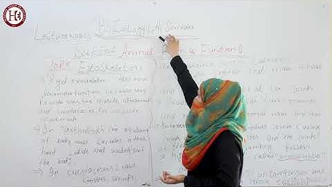 Heritage College BS Zoology 4th Semester Lecture No.8 Animal Form & Function II