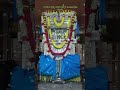 #gururaghavendra #mantralaya #youtubeshorts #youtubefeeds #divinegraceprayer #devotionalsongs
