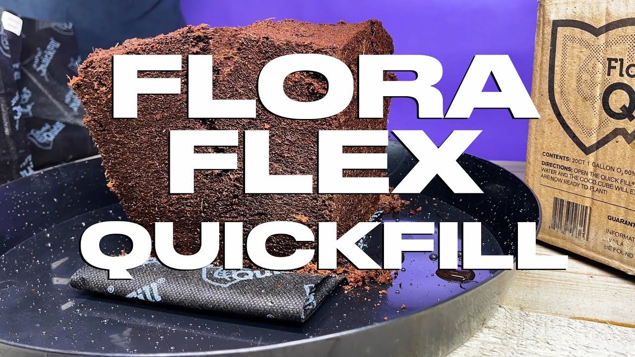 Flora Flex Quick Fill YouTube