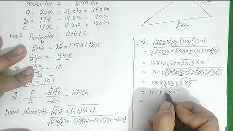 Class 9 Exercise 12.1 All Questions | Chapter 12 Exercise 12.1 Heron