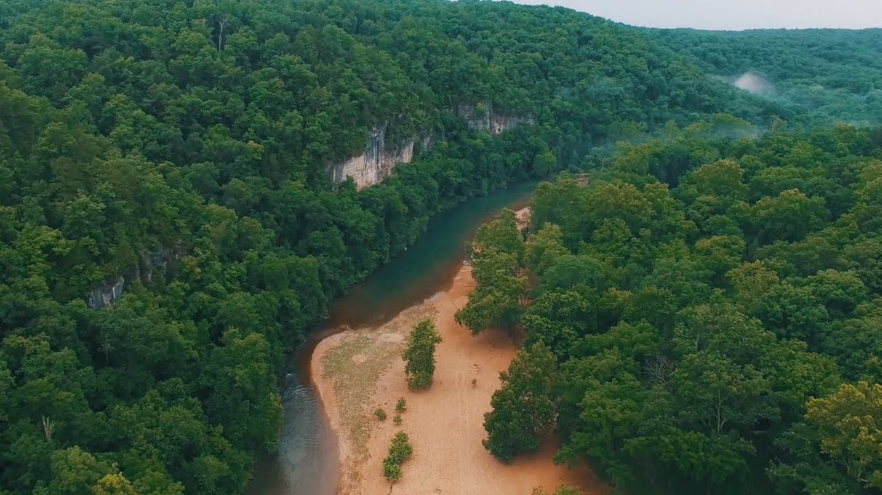 Escape into the Wild YouTube