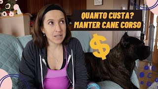 MANTER UM CANE CORSO, QUANTO CUSTA!