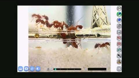 ELMO CRA-1 Wireless Tablet