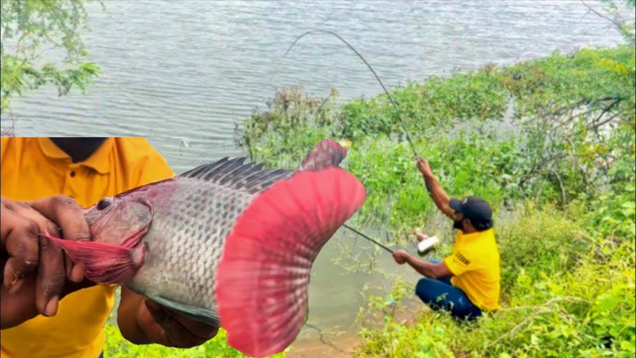 bigger hook catches bigger fish LT Marine How To Catch Bigger Fish