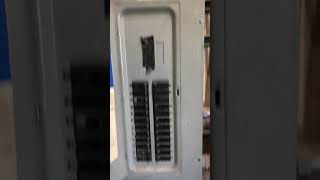 IMG 4900